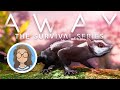 I'm a SUGAR GLIDER! | StacyPlays AWAY: The Survival Series (Full Game)