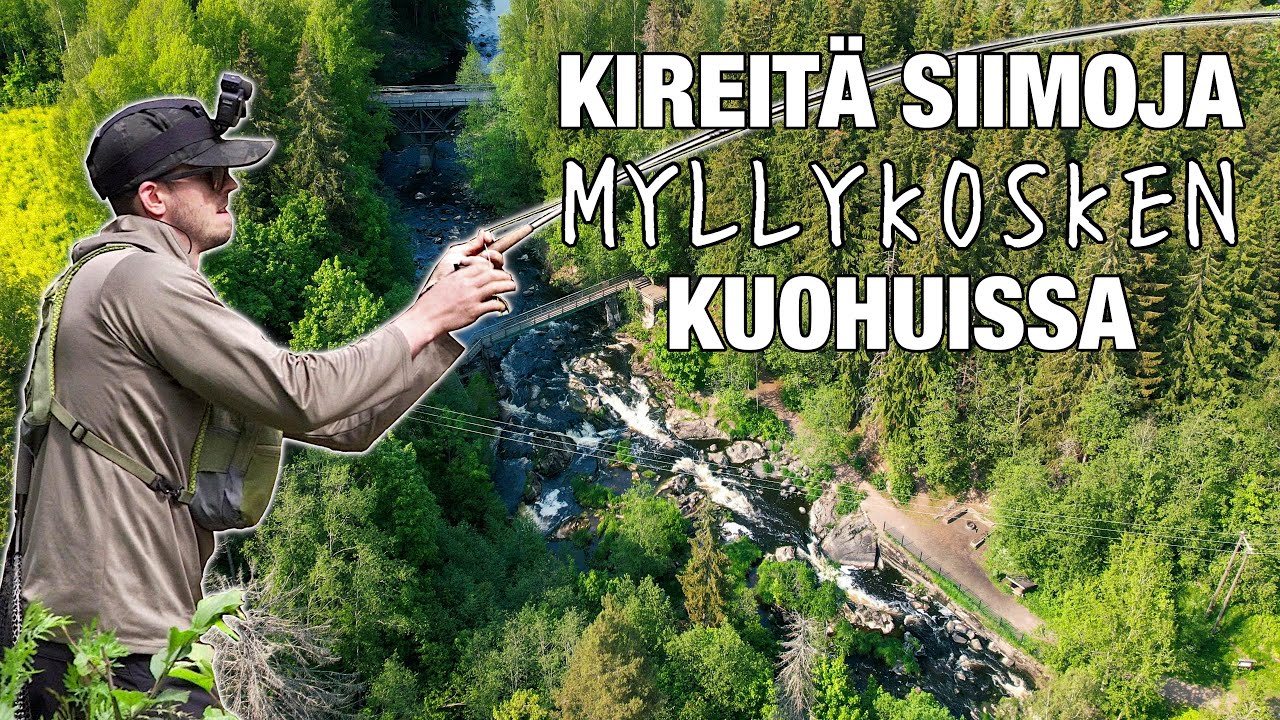 TÄTÄ KAIKKEA NURMIJÄRVEN MYLLYKOSKEN KUOHUT PITÄVÄT SISÄLLÄÄN