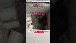 #shorts #房屋检查#新家排水管堵了#排水测试 #房屋检查