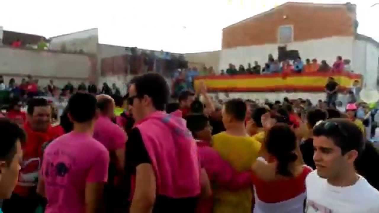 Muñopedro. San Miguel 2015. King kong y Bacalao salao en la plaza de toros. Charanga chicuelina.