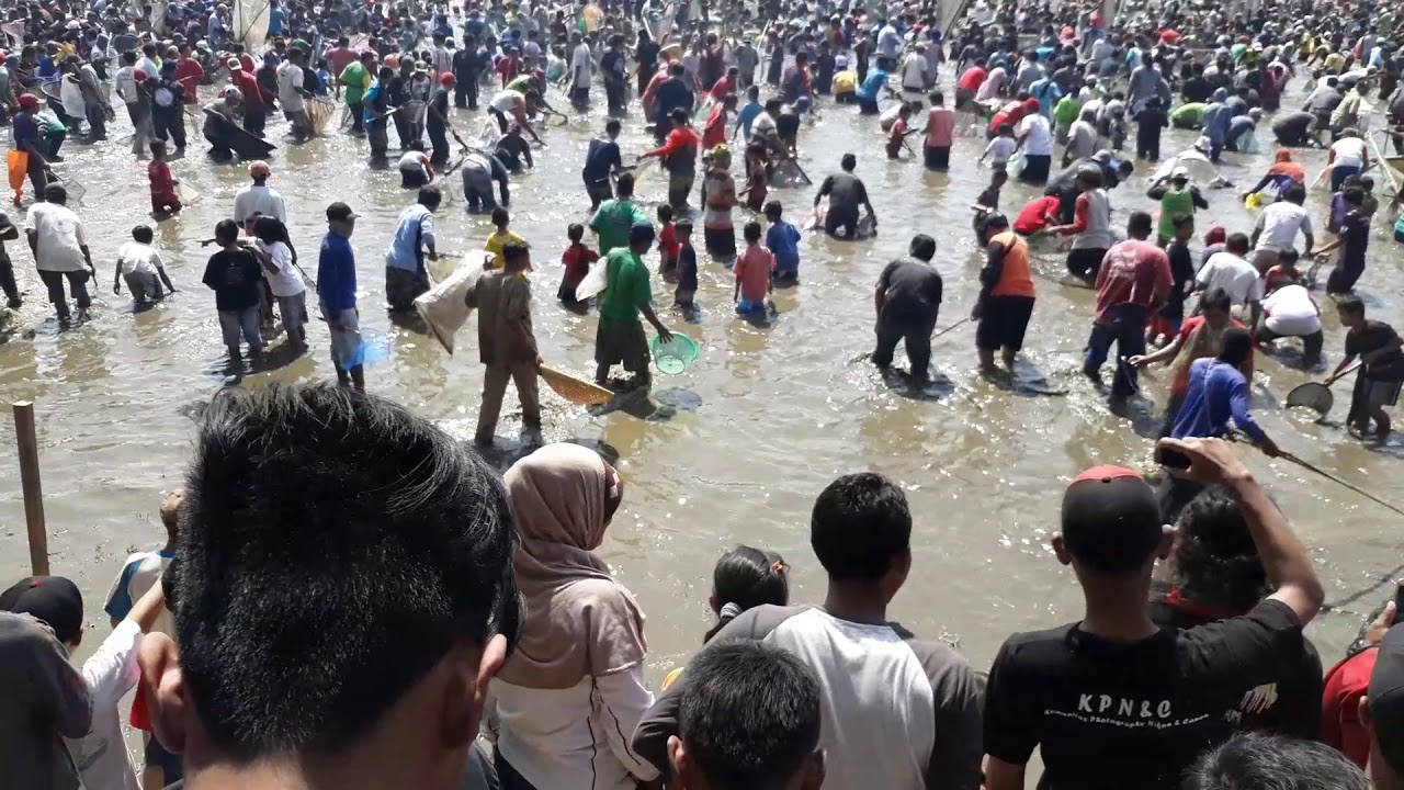 HEBOH, Meriah Pesta Rakyat Tangkap Ikan di Jawa Tengah Klaten, Kalikotes,Gemblegan