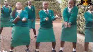 رشا الزنجية جديد زنق سوداني 2017 جودة HD