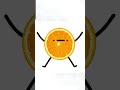 I’m a orange