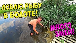 ЛОВЛЮ РЫБУ РУКАМИ В БОЛОТЕ! МНОГО ЗМЕЙ! / Виталий Зеленый