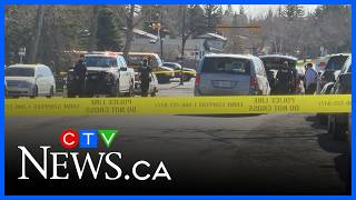 1 dead following fight in southwest Calgary | CTV News Calgary Noon Update for May 6, 2026 screenshot 5