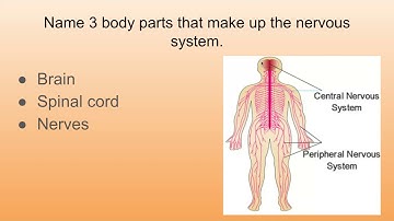 Intro to Human Body Systems 1