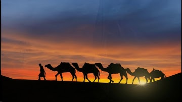 الكوثر وقريش والماعون - تلاوة القارئ الشيخ محمد صديق المنشاوي - إعداد محمود حمشو