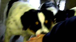 103_0089.MOV