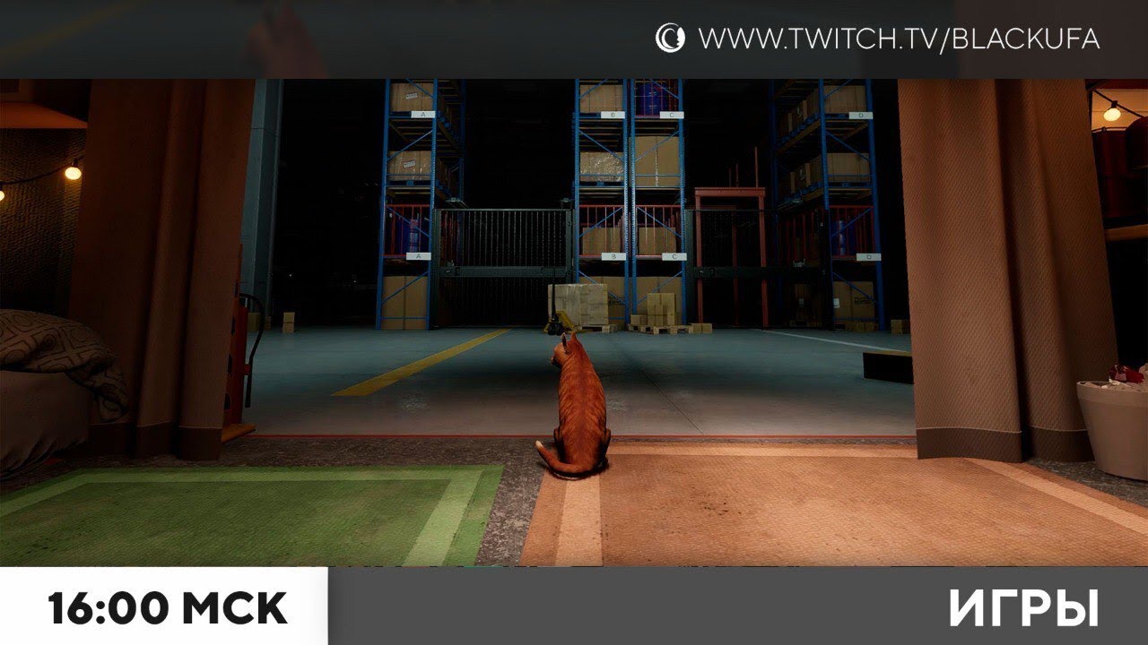 Уборка / ORDER 13 / Камень и снег / Labyrinth of the Demon King / The Black Ice