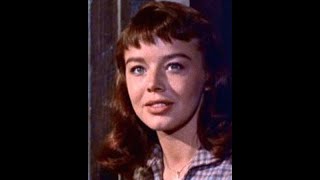 Darby O Gill And The Little People Rock Of Dunamase Ireland Travel Tips Ireland