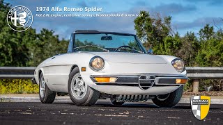 Driving a Hot Alfa Spider in Wine Country!
