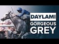IRISH FLAT RACES - YouTube