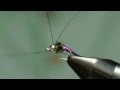 JAV Vol IX Purple Lightning Bug