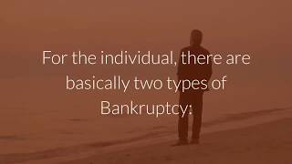 BANKRUPTCY  CHAPTER 7 INEXPENSIVE