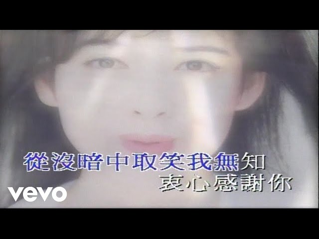 周慧敏 - 《會錯意》MV class=