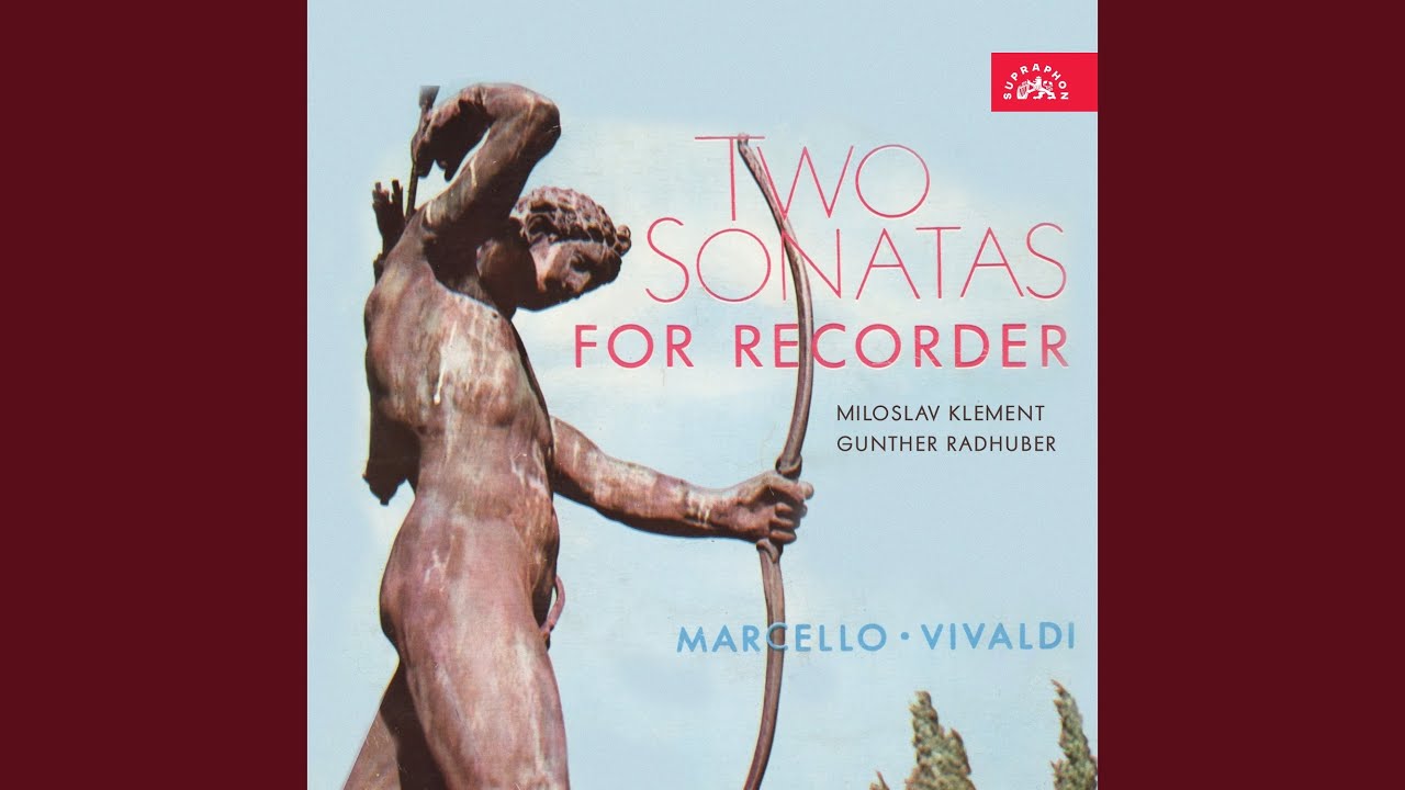 Смотреть «Vivaldi: Sonata for Flute and Harpsichord in G minor No. 6, Op. 13a - Vivace» на YouTube