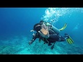 Scuba diving in the red sea sharm el sheik egypt