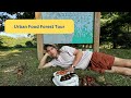 Epic Urban Food Forest Tour (Asheville, NC)