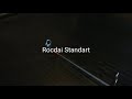 Удочка зимняя Rocdai Standart