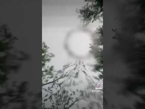 Ceiba Wash Inan Olon Lenca Song Indigenous Lenca Viralreel Nature Youtube