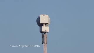 Federal Signal 2001 Arcadia Wisconsin