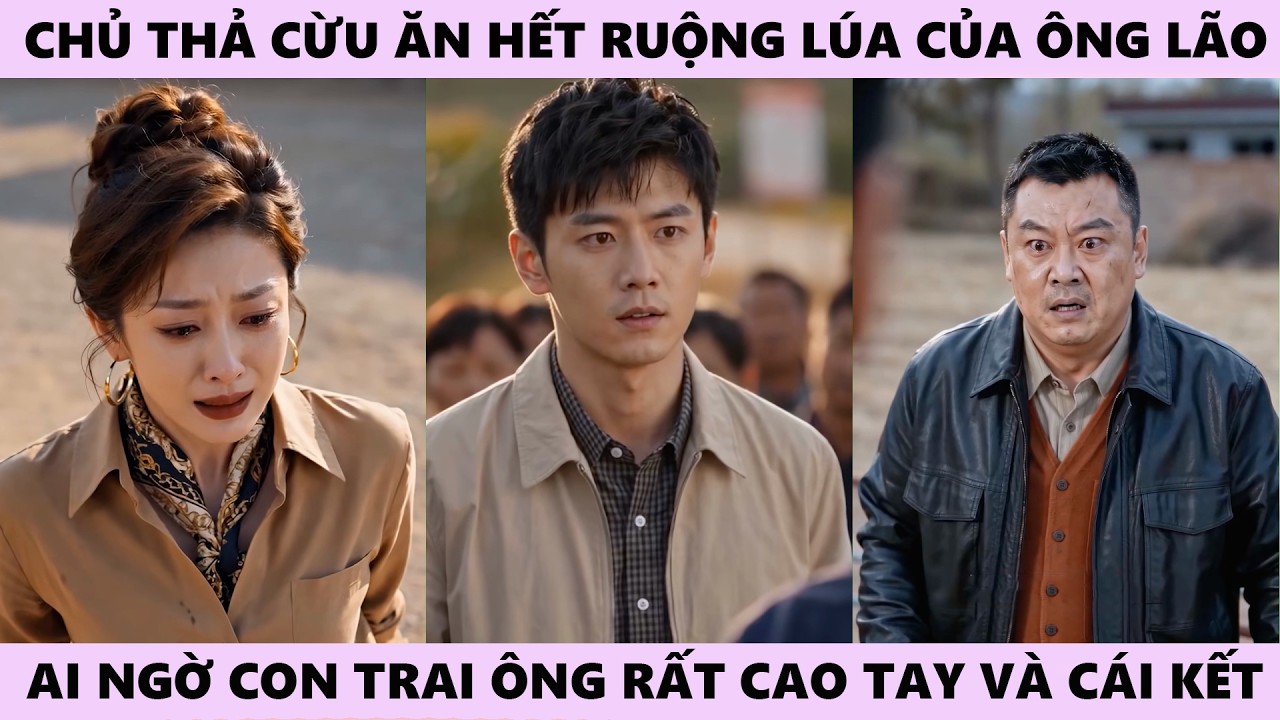 Chủ Thả Cừu Ăn Hết Ruộng Lúa Của Ông Lão Suốt Nhiều Năm, Ai Ngờ Con Trai Ông Rất Cao Tay Và Cái Kết