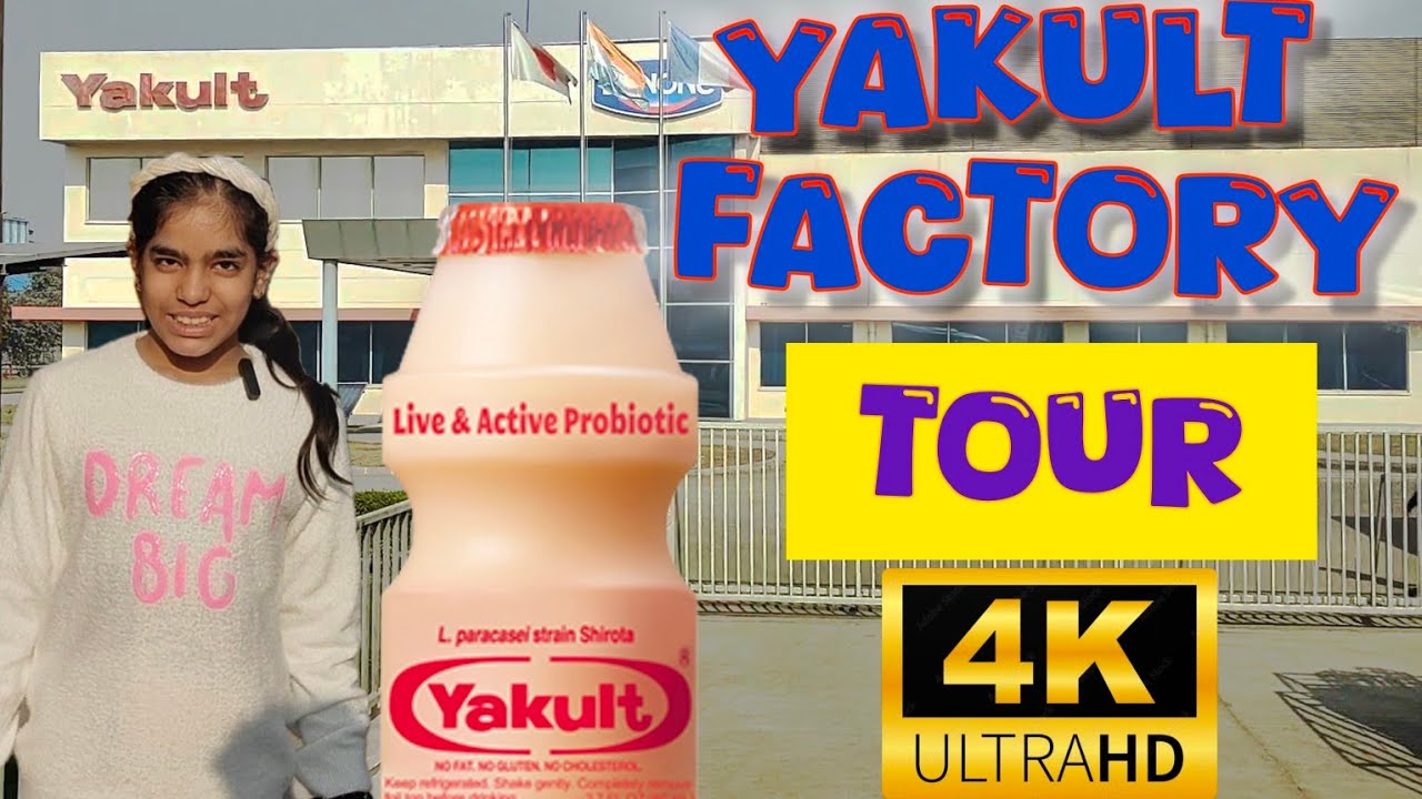 IS YAKULT BEST PROBIOTIC DRINK DRINKING YAKULT GOOD EVERYDAY is-yakult-best-probiotic-drink-drinking-yakult-good-everyday