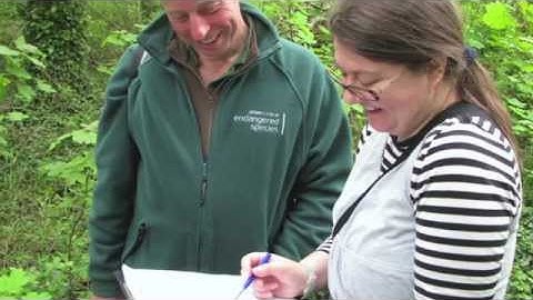 A guide to carrying out a risk assessment for dormouse box check