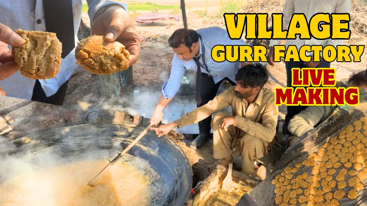 Jaggery Business Idea | Profit From Sugarcane Farming | Imran Amin