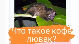 Кофе лювак с фильтром для приготовления кофе - подарок мне из Вьетнама🦨 . Не 💩! Вкуснее!😅