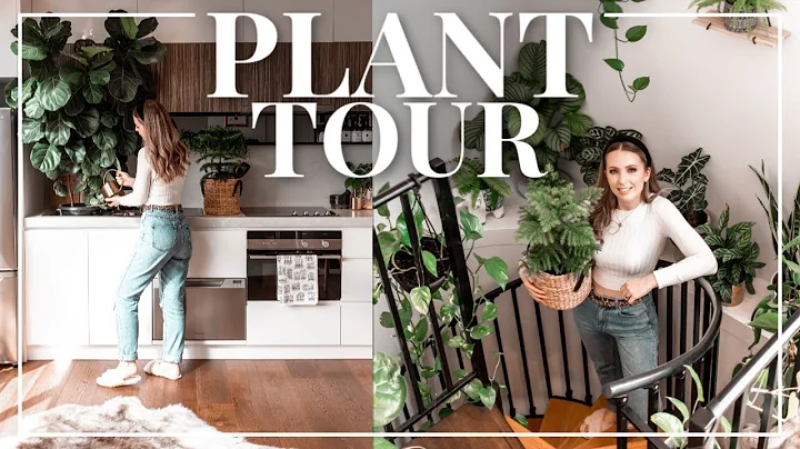 MEET MY HOUSEPLANTS  Indoor Plant Tour | LIFE by A...