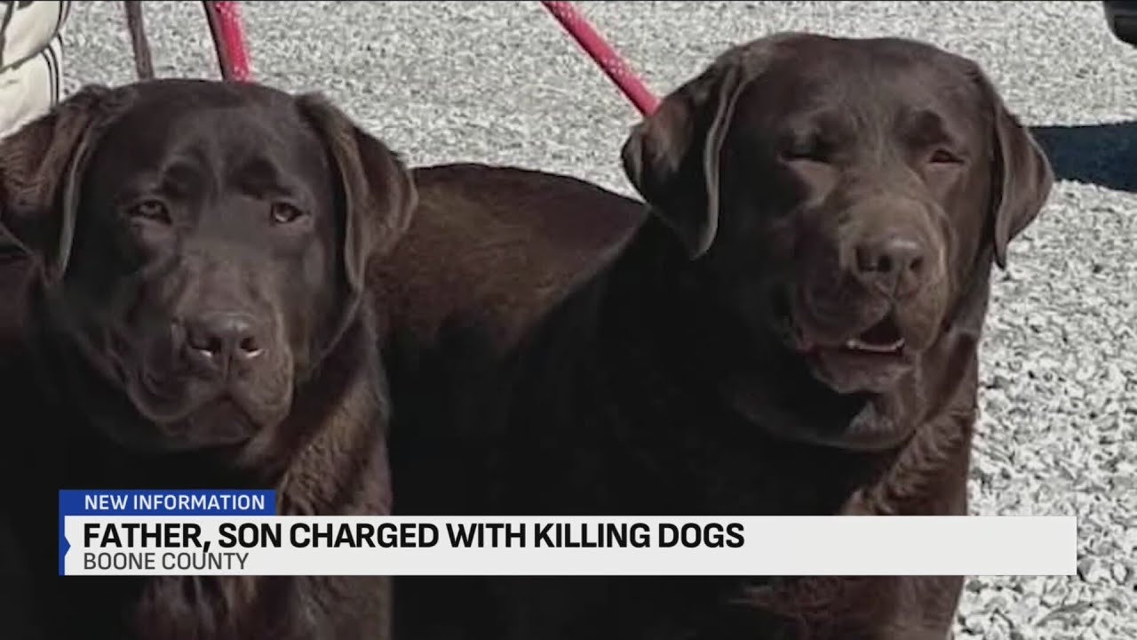 Arrest warrants issued for 2 people accused of shooting, killing 2 dogs ...