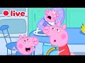 Peppa Pig NEW BABY EVIE Episodes LIVE Cutest Funniest Moments Kids Cartoons