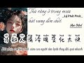 [Vietsub Pinyin] Thà rằng ở dưới mưa hát vang đến chết. Lý Phát Phát. 宁在雨中高歌死-李发发