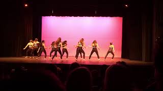 ECHS Spring Dance Show 2018 - Opener MOVE