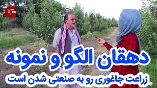 زراعت و باغداری در دهات های افغانستان پیشرفت چشمگیری کرده است