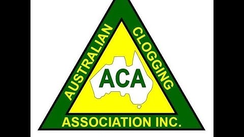 Cheap Thrills - Choreo Denise Jenkins - Intermediate clogging - Step run through