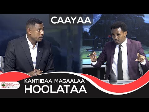 Qophii Caayaa Magaalaa Hoolotaa Irratti Kan Xiyyeeffatame 