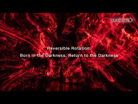 Reversible Rotation Born in the Darkness, Return to the Darkness
