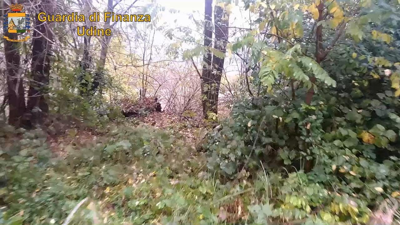 Udine: sgominata banda di spacciatori: la droga era nascosta nei boschi