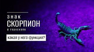 картинка: Знак Скорпион в гороскопе. Какая у него функция?