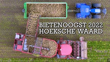 Suikerbieten rooien 2022 Hoeksche Waard / Sugar beet harvest 2022 / Bietenoogst 2022