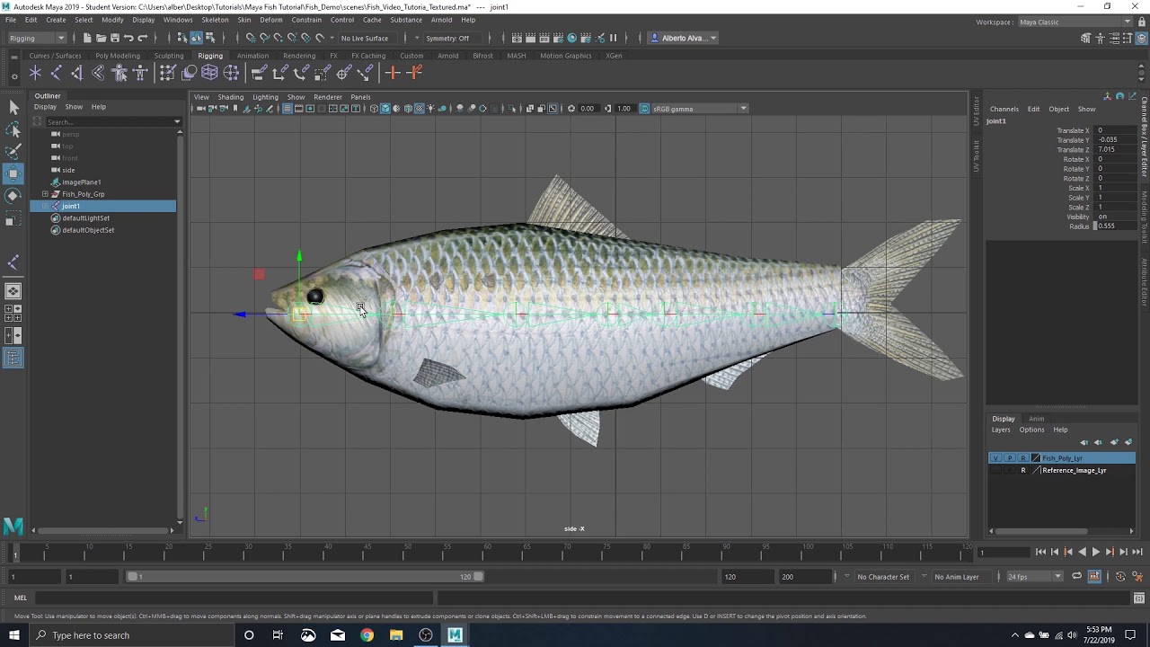 Рыбалка скрипт. Rigging Fish ik Handle Maya.