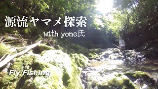 源流ヤマメ調査に行ってみた。with yone氏　フライフィッシング