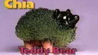 Cha-Cha-Cha Chia A Real Life Chia Pet