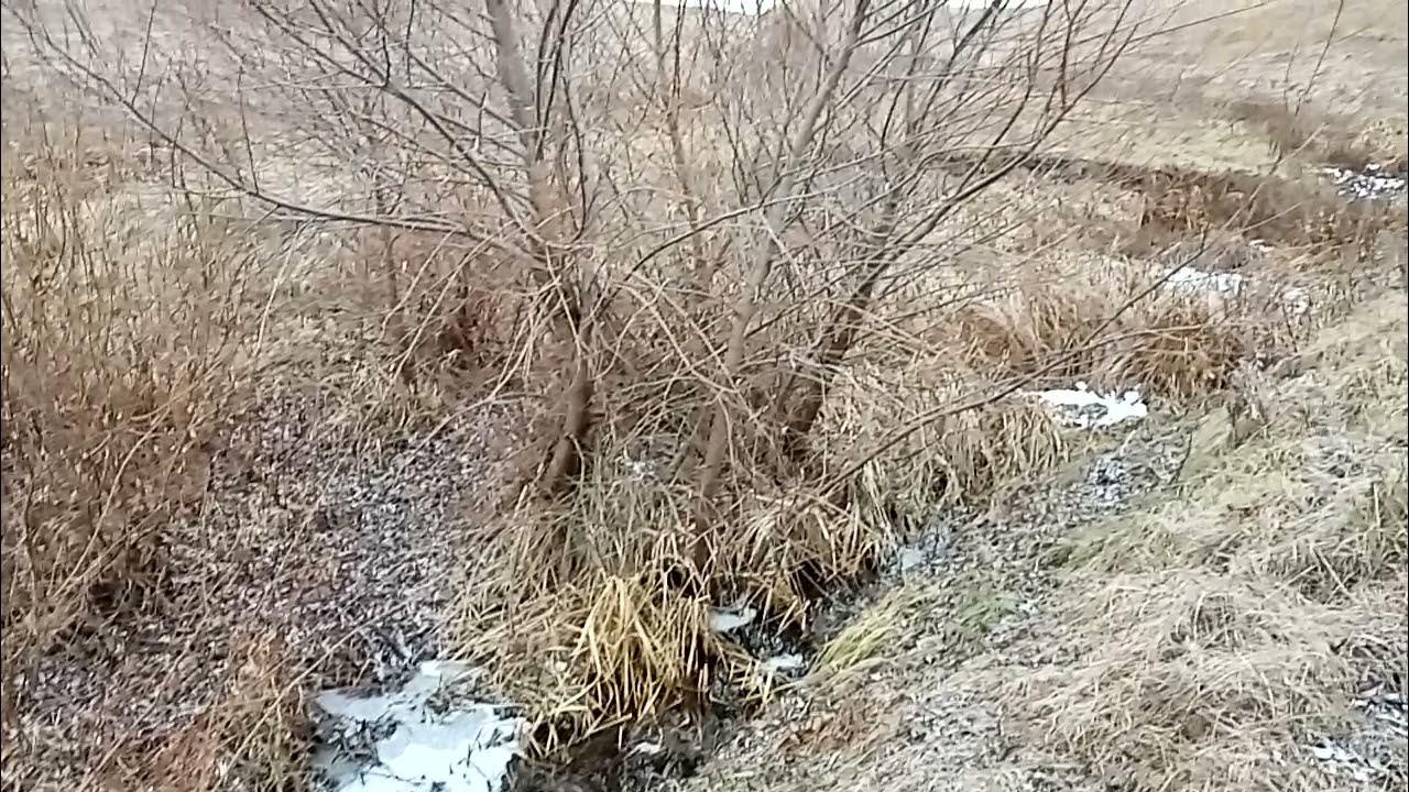 пензенская каменный овраг. церковь в каменном овраге неверкинского района. пензенская каменный овраг. овраг каменный печищи. каменный овраг нижегородская область.