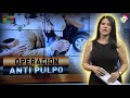 Operación Anti Pulpo - El Informe con Alicia Ortega