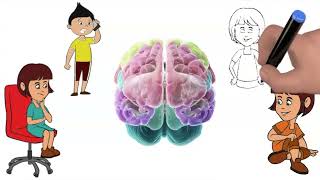 Мозг человека №1 Для школьников