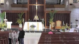 Daily Mass
