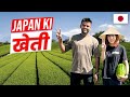 Japan me KHETI kaise hoti hai II Indian in Japan II